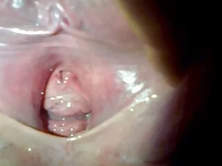 アンドレ、レナはキッチンに固執する アダルト 動画 一徹