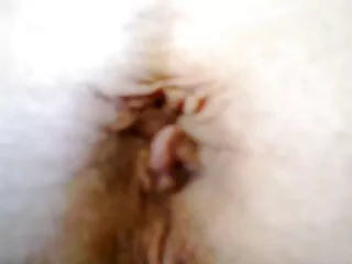 クソフックは安い脂肪を必要とします 一徹 エロ 動画