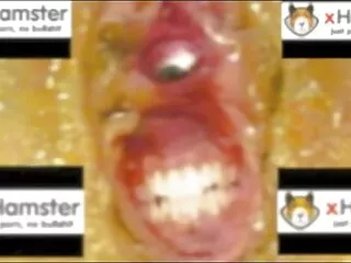 ペア 女性 アダルト 一徹